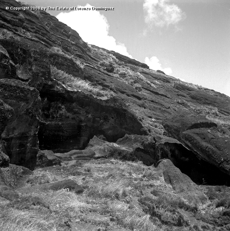 RRI_Cantera_Interior_17.jpg - Easter Island. 1960. Interior slope of Rano Raraku. Moai carved in the quarry.
